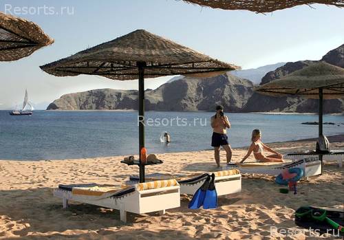 Sol Y Mar Sea Star 8